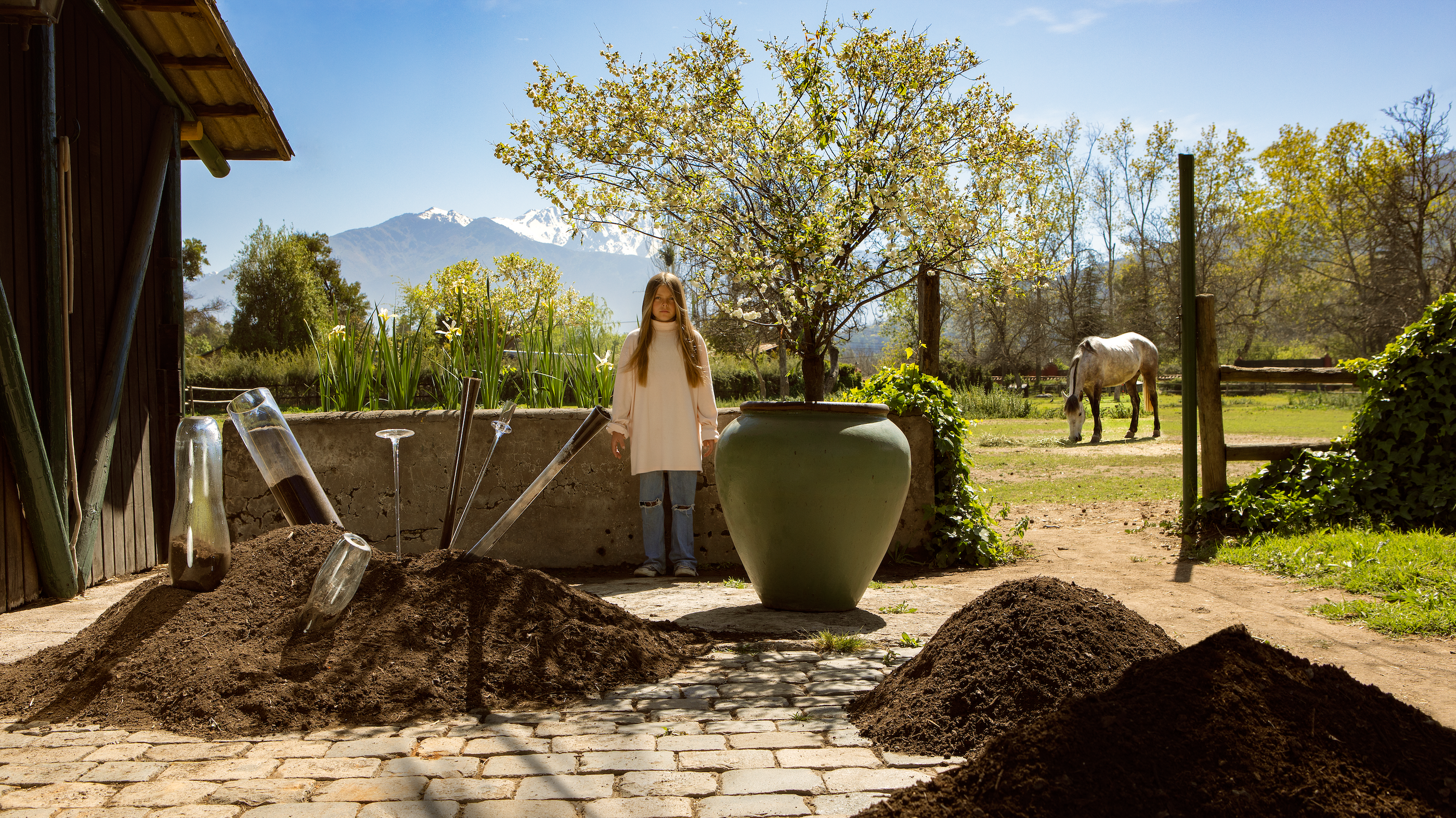 Sustratos y Fertilizantes