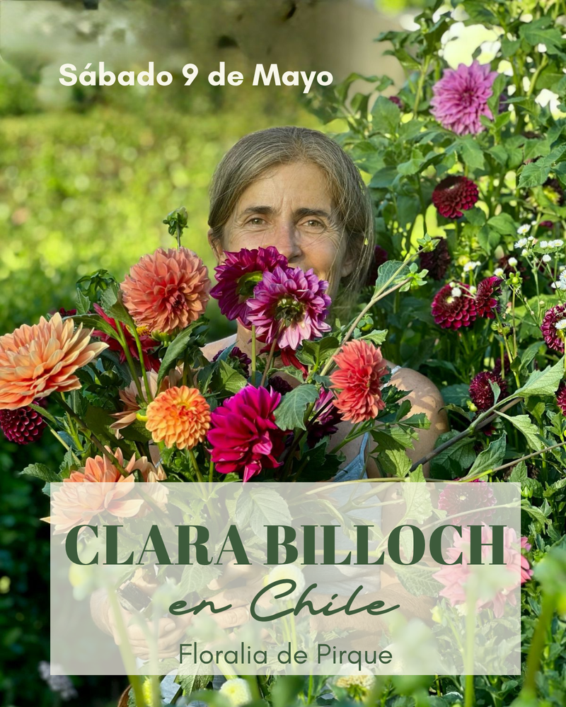 Master Class Clara Billoch - Labores de otoño en el jardín para una primavera en flor