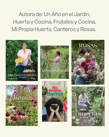 Master Class Clara Billoch - Labores de otoño en el jardín para una primavera en flor