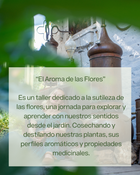 El Aroma de las Flores