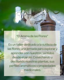 El Aroma de las Flores