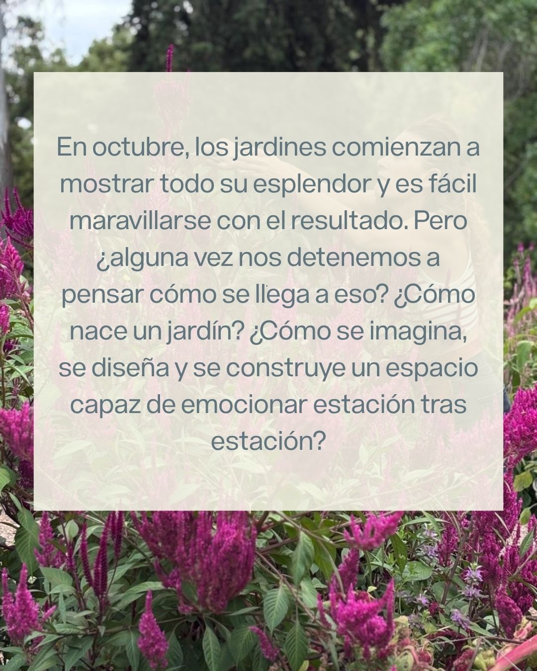 Master Class Paquita Romano- "Como nace un jardín: el proceso creativo"