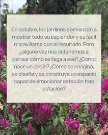 Master Class Paquita Romano- "Como nace un jardín: el proceso creativo"