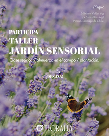 Jardín Bosque Sensorial