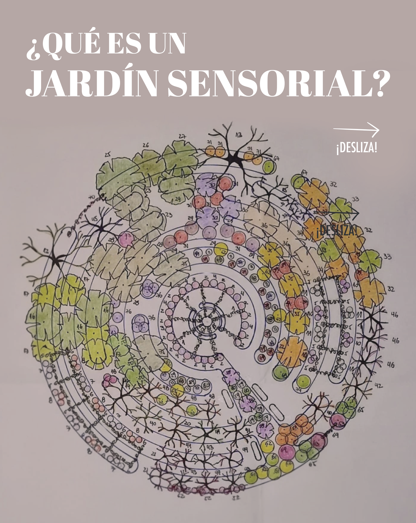 Jardín Bosque Sensorial