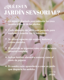 Jardín Bosque Sensorial