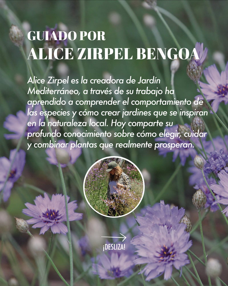 Jardín de las Flores | 21 de Noviembre