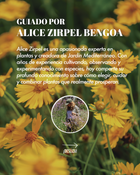 Jardín de las Flores | 21 de Noviembre