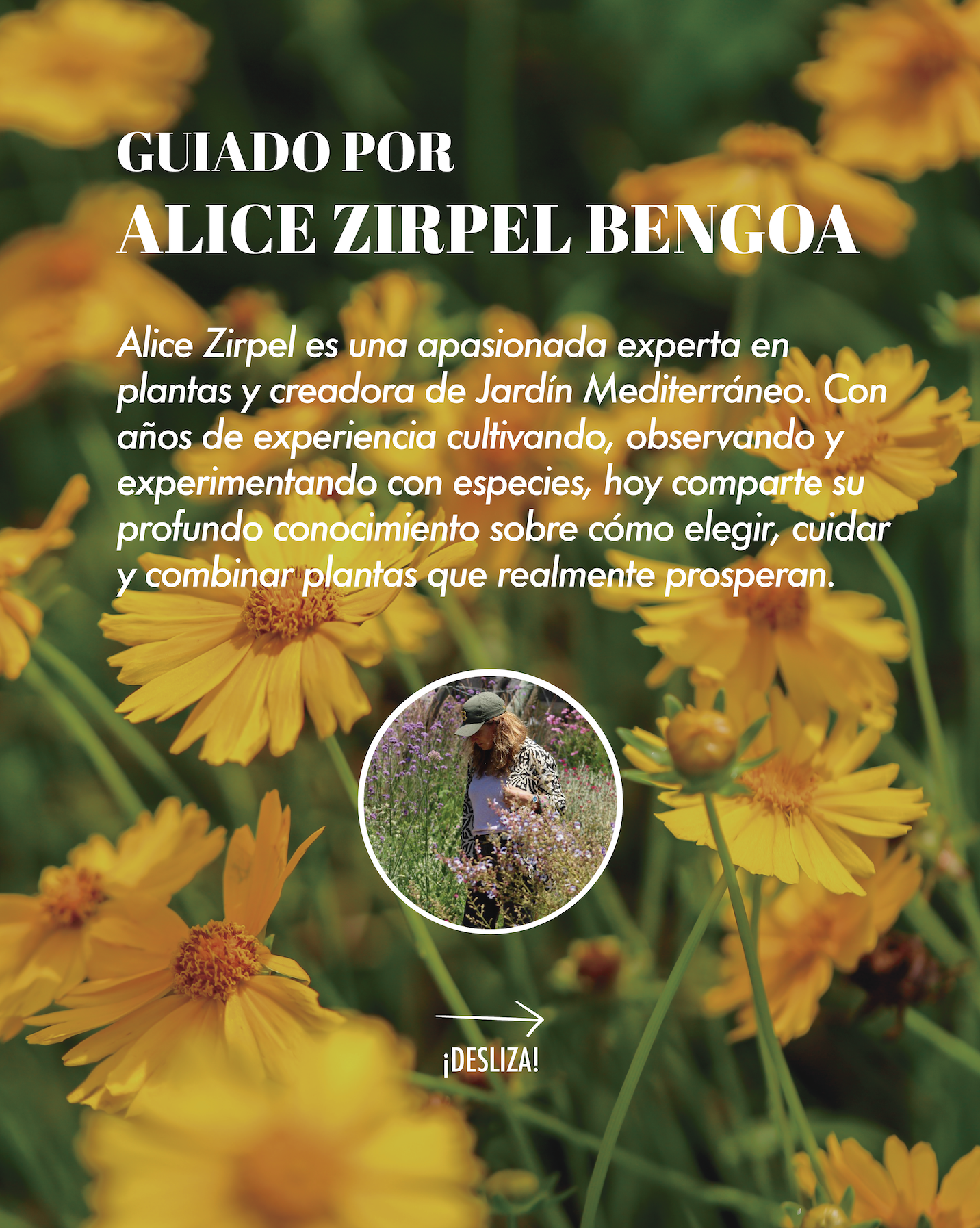 Jardín de las Flores | 21 de Noviembre