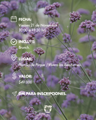 Jardín de las Flores | 21 de Noviembre