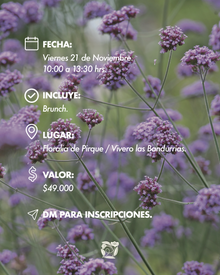 Jardín de las Flores | 21 de Noviembre