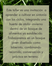 Huerto Bosque Otoño- Invierno