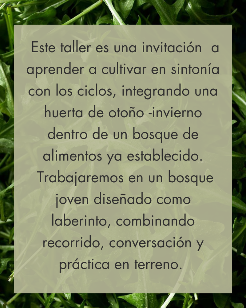 Huerto Bosque Otoño- Invierno