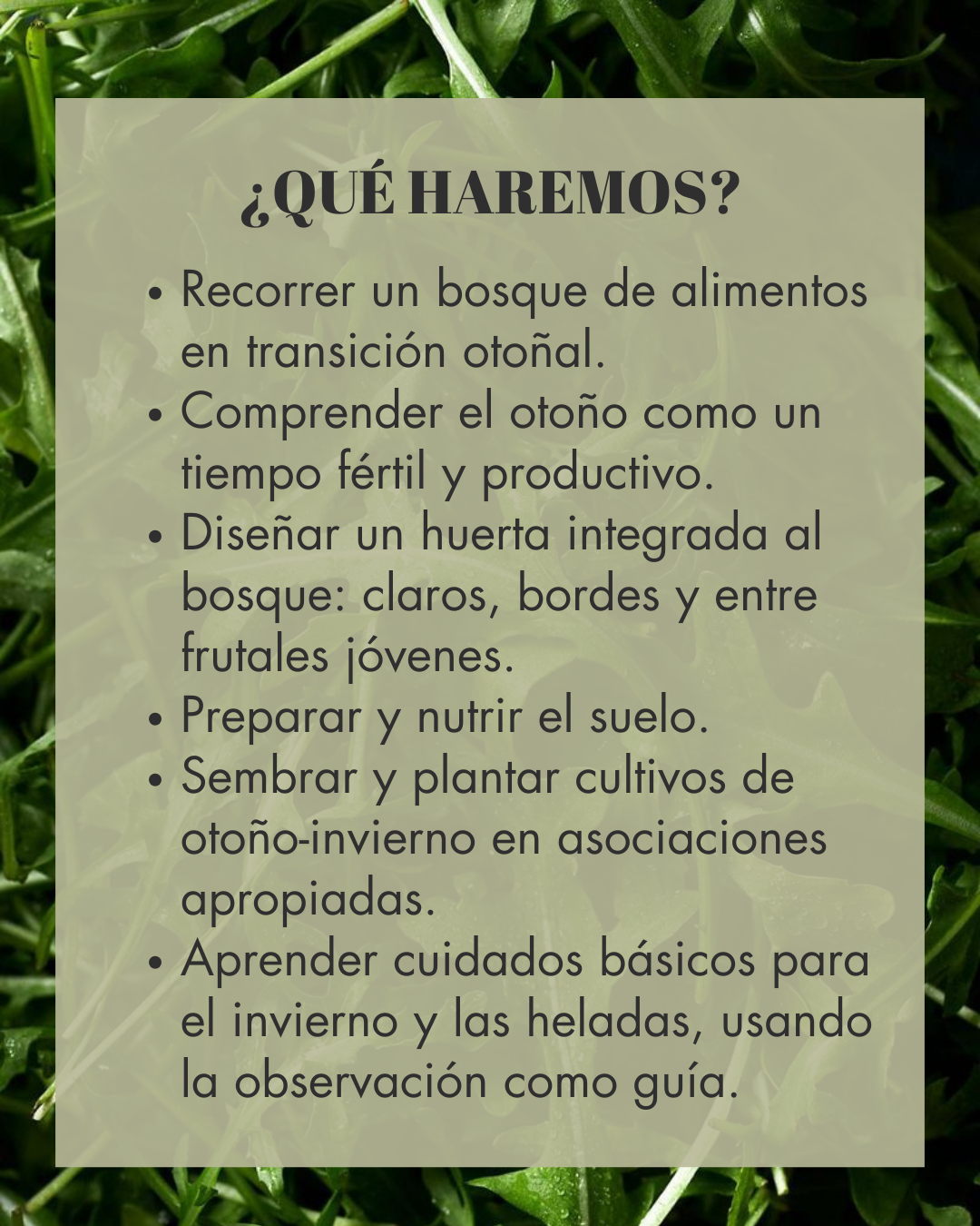 Huerto Bosque Otoño- Invierno