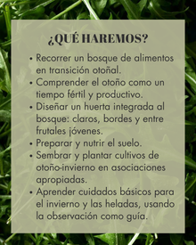 Huerto Bosque Otoño- Invierno