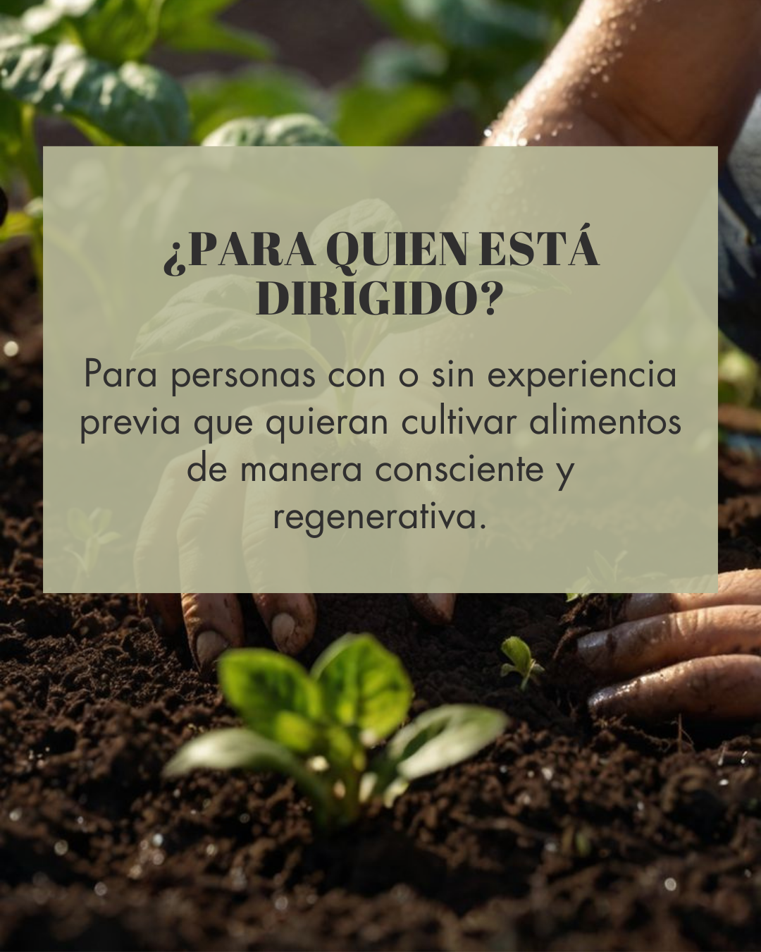 Huerto Bosque Otoño- Invierno