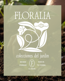 Huerto Bosque Otoño- Invierno