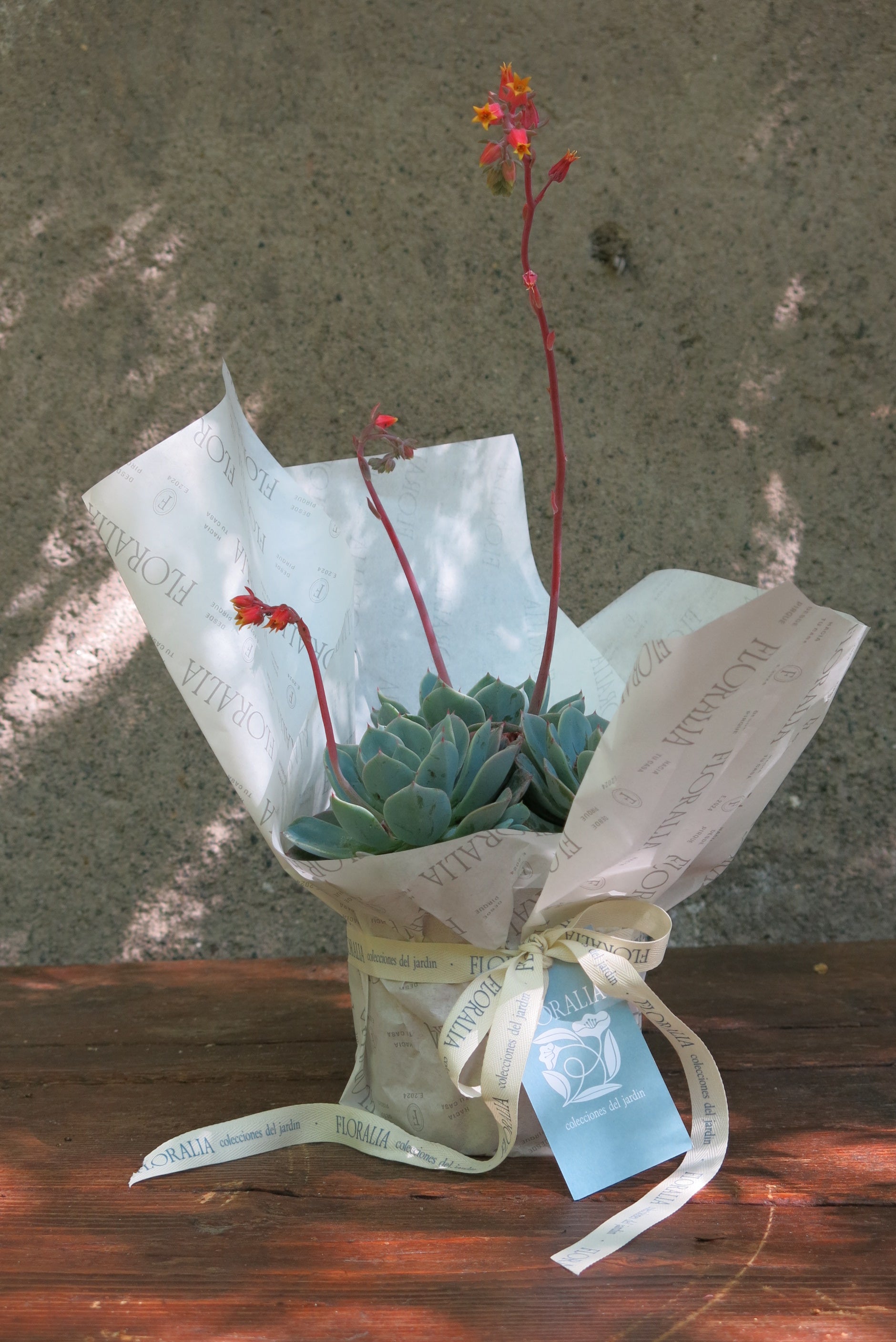 Regalo Corporativo