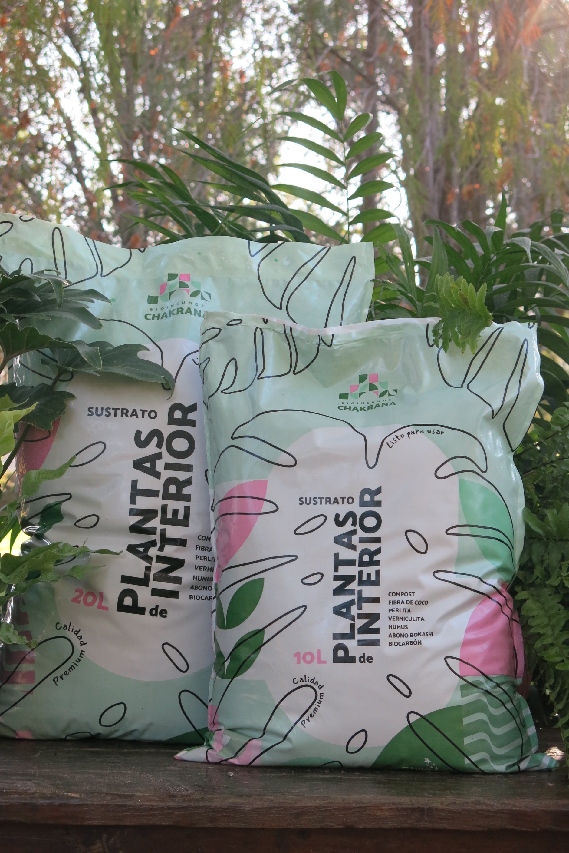 Sustrato plantas de interior