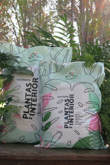 Sustrato plantas de interior