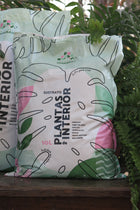 Sustrato plantas de interior