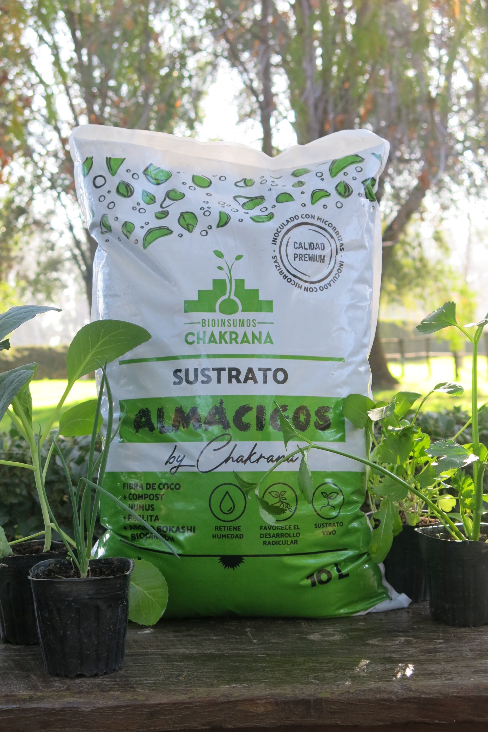 Sustrato de almácigos 10L