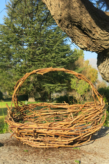 Canasto Parra Verona