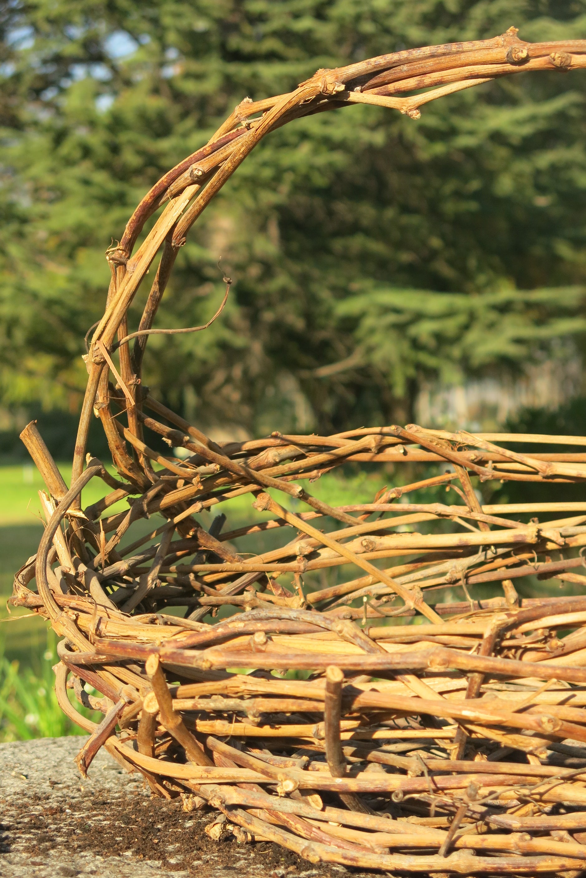 Canasto Parra Verona