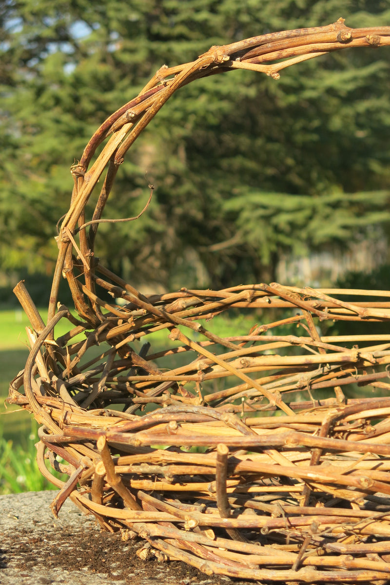 Canasto Parra Verona