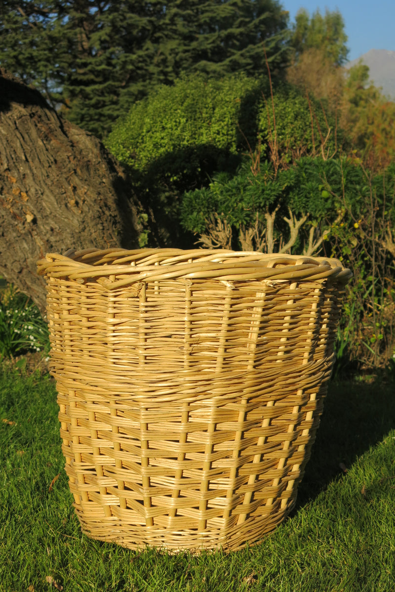 Canasto Nápoles Crudo