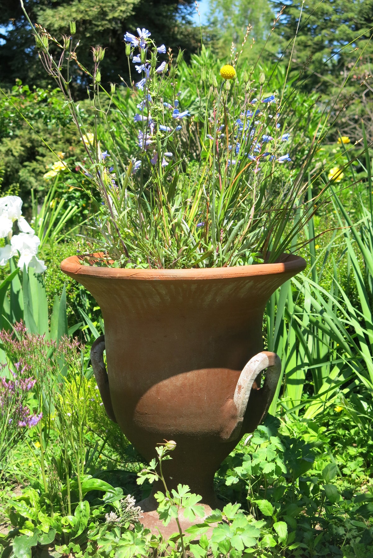 Copa de Greda
