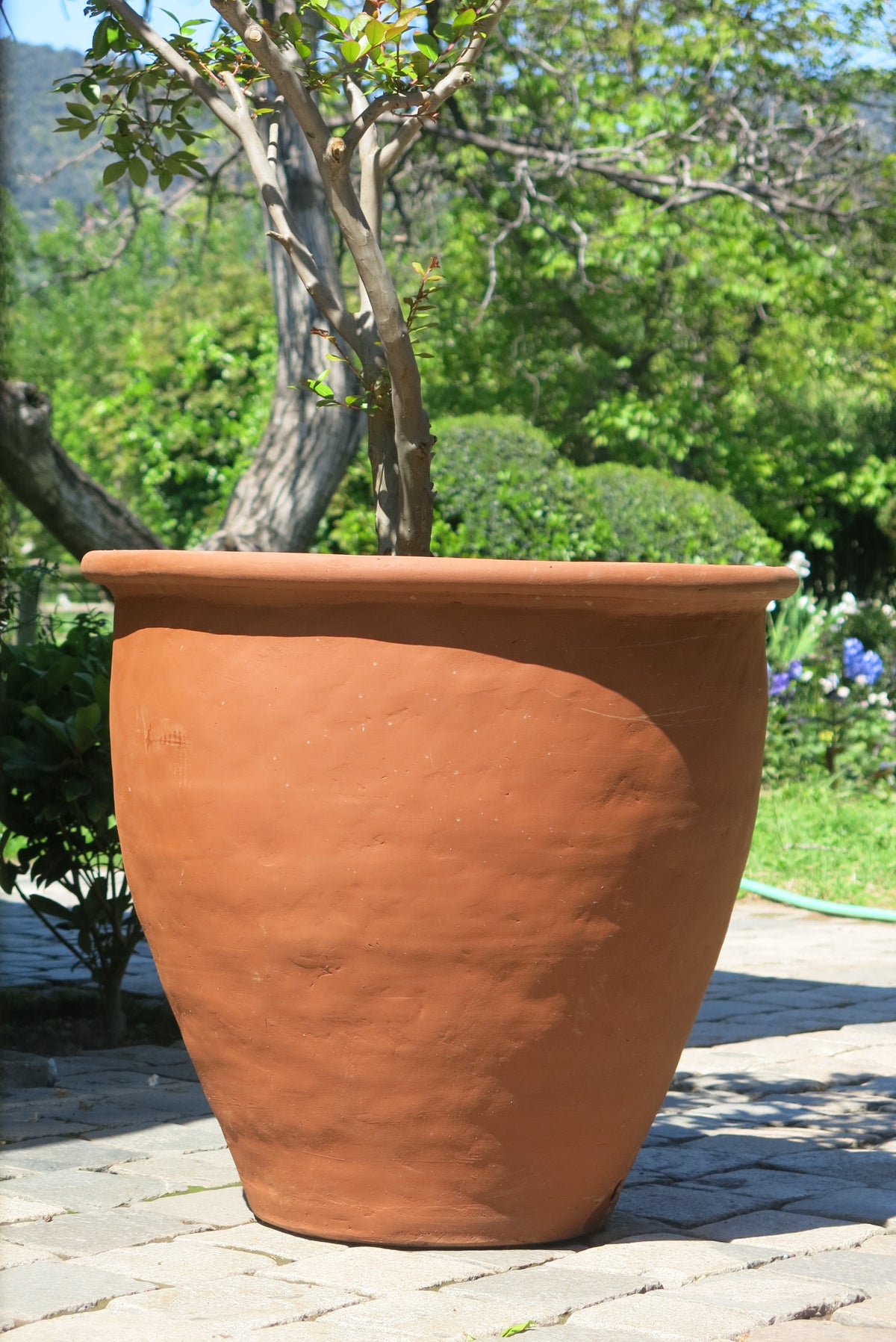 Macetero XL Jacinta