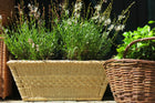 Canasto Rectangular Blanco