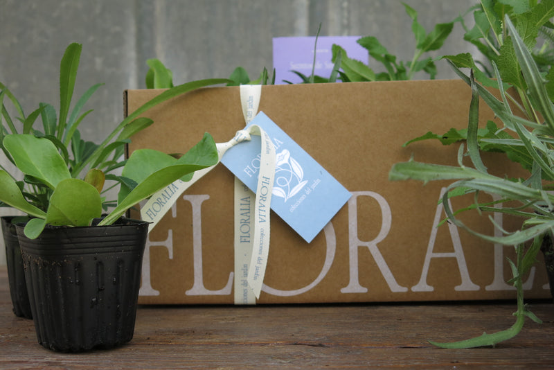 Secretos de Santorini